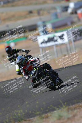 media/May-09-2022-Moto Forza (Mon) [[0226cf3505]]/Group B/B 920am/